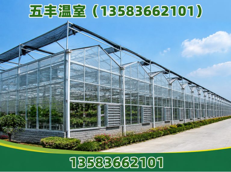 坊子区五丰温室展示图