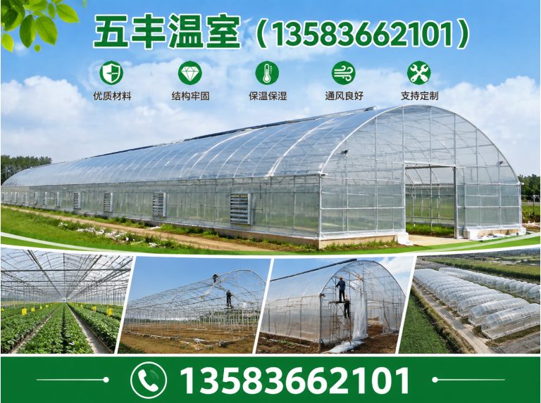 坊子区大棚建设展示图